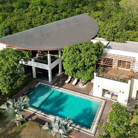 The Leaf By Stayvista - An Enchanting Escape Offering A Pool, Terrace, Lush Lawn, Contemporary Interiors, And Indoor Games Alībāg Exteriör bild