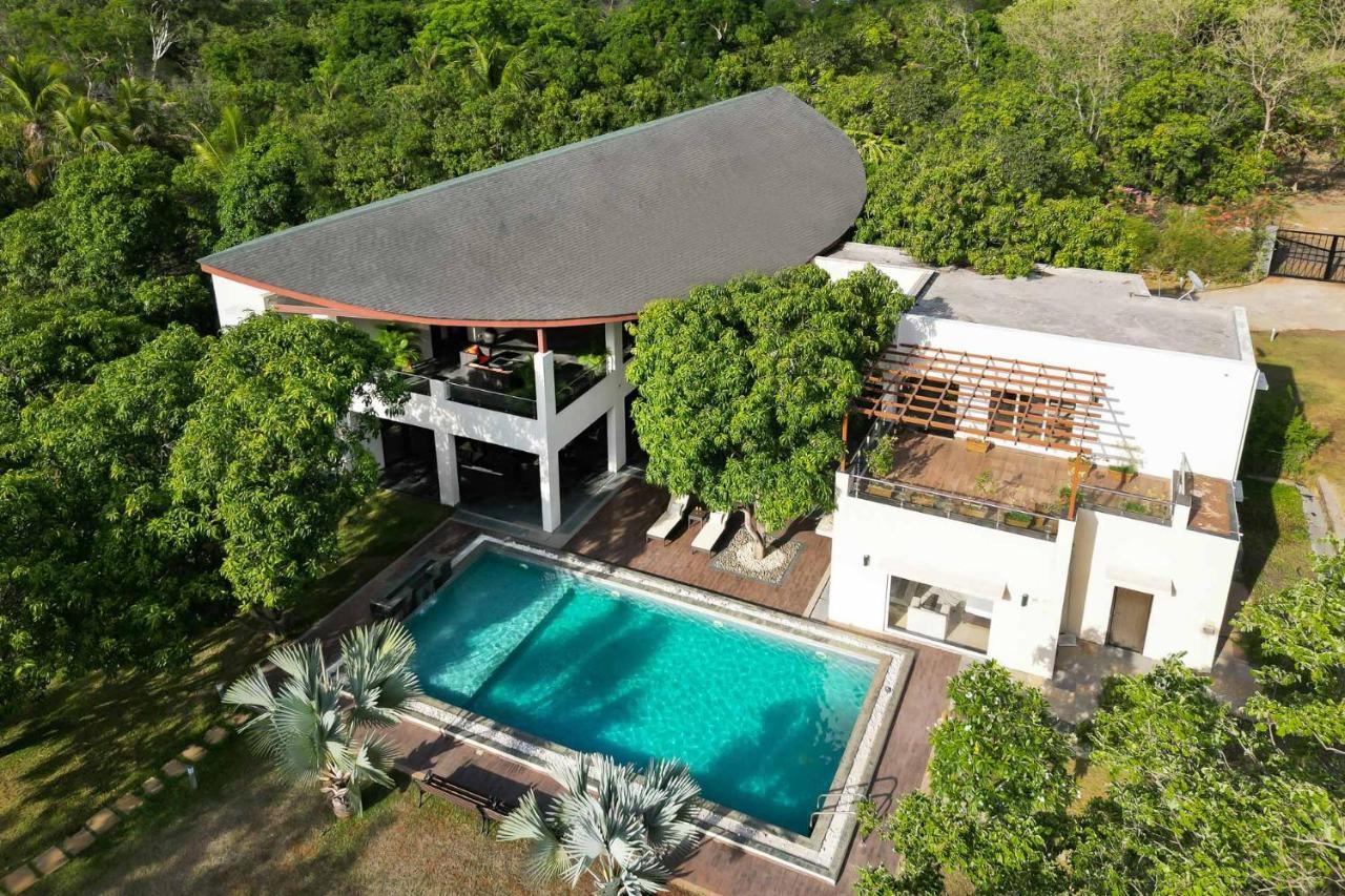 The Leaf By Stayvista - An Enchanting Escape Offering A Pool, Terrace, Lush Lawn, Contemporary Interiors, And Indoor Games Alībāg Exteriör bild